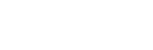 Fogo Logo